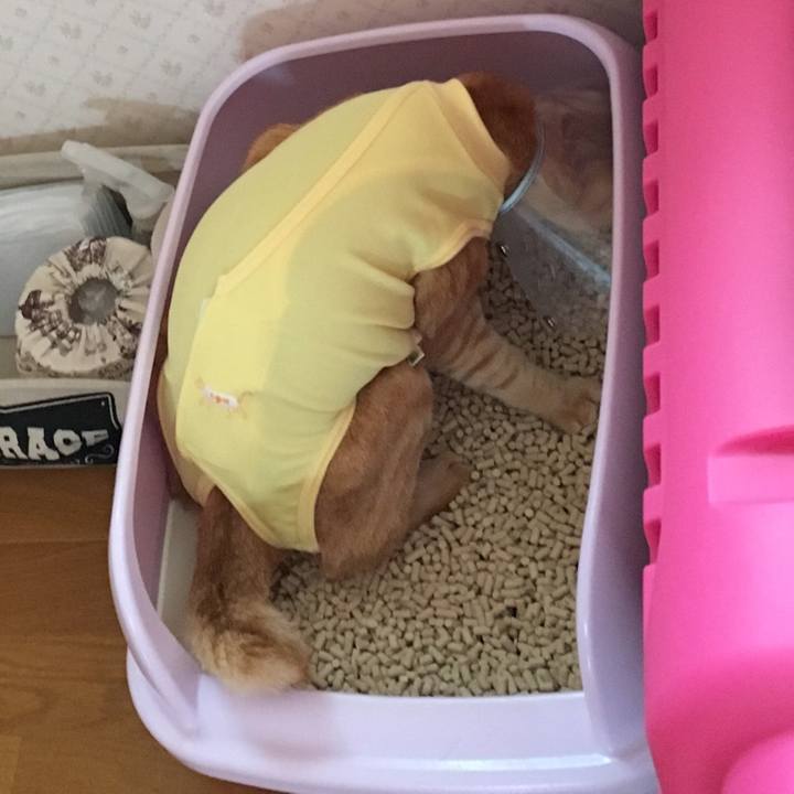 Fc5f1422 d202 4067 bd9a a9a238929c5b