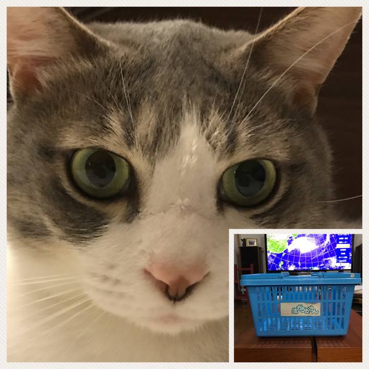 Fc5f833d 3a50 4d6c b128 2ec557fe1fa9