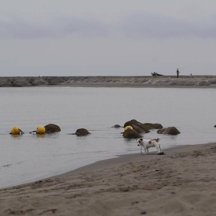 Fc5f967c d855 4021 8613 24475210d6c2