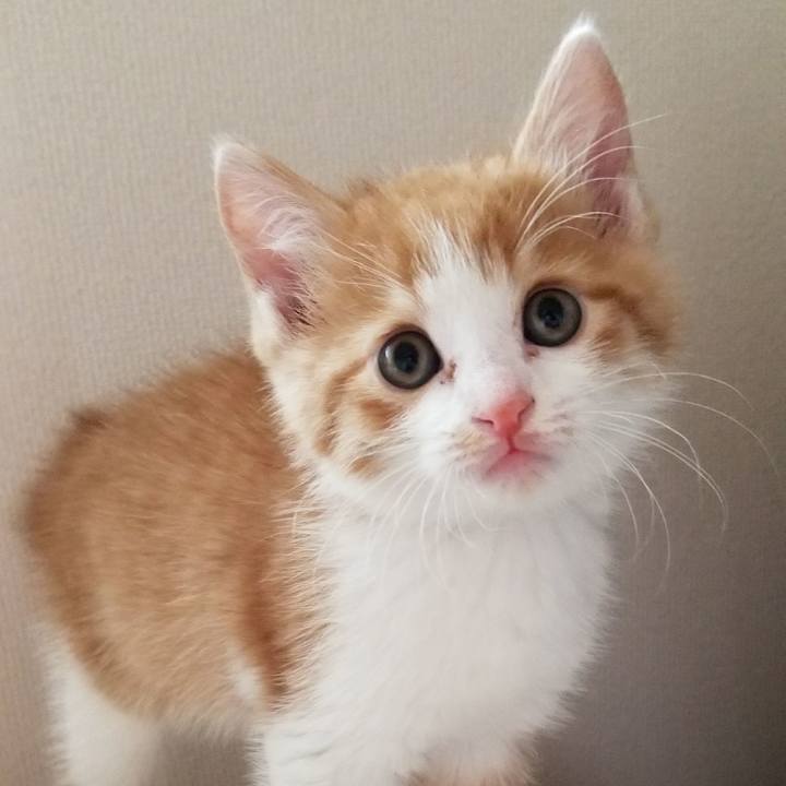 Fc600412 1467 42d2 9393 b12d25144dd9