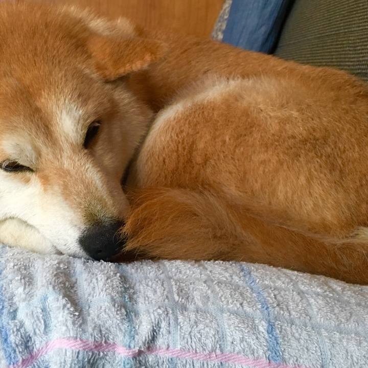 Fc601b21 9785 4110 8b6f e837504e3298