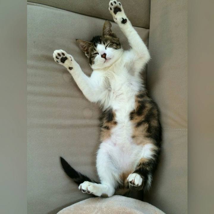 Fc6072b5 5478 4faf 857a dabf6bc9f67d