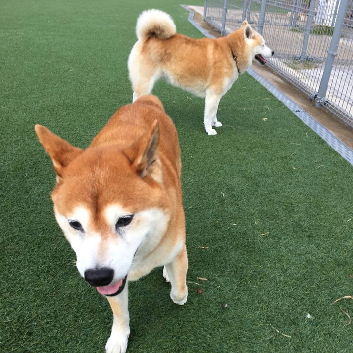 Fc608d1f f455 49d9 b563 8e66df4f8162