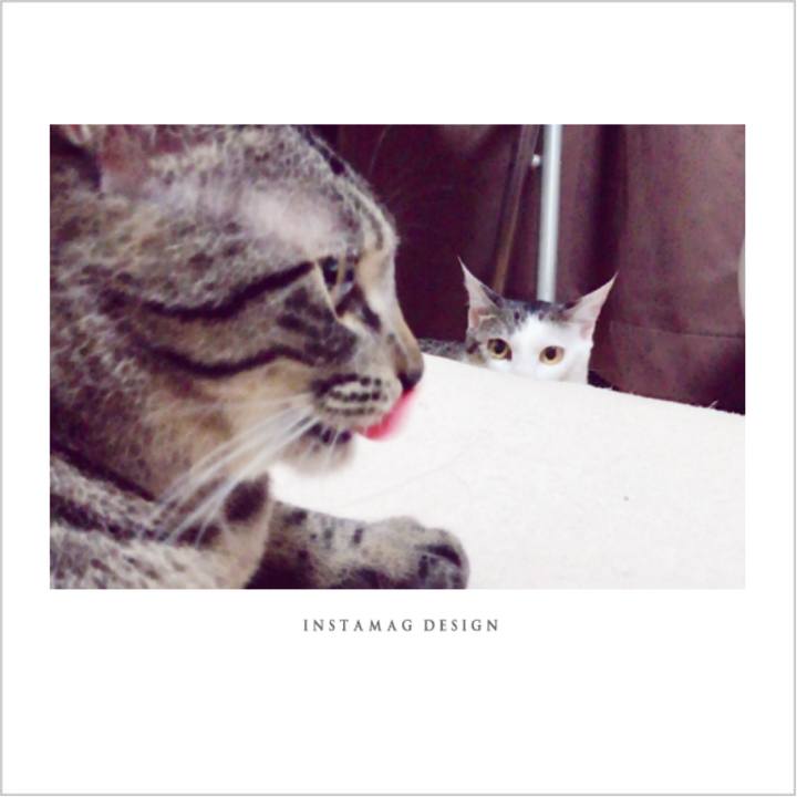 Fc6154f9 89c1 4635 a05d d943abb87461