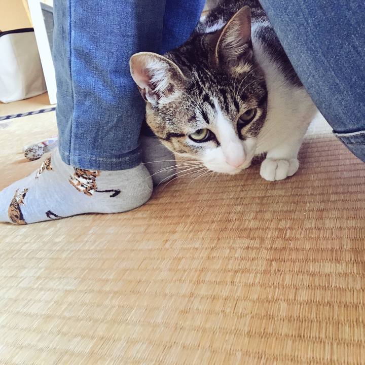 Fc619ad9 b35e 4636 b480 295b90ac3a8a