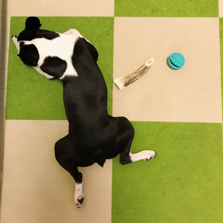 Fc6212cd b1fd 401d adbf d209fa0666b5