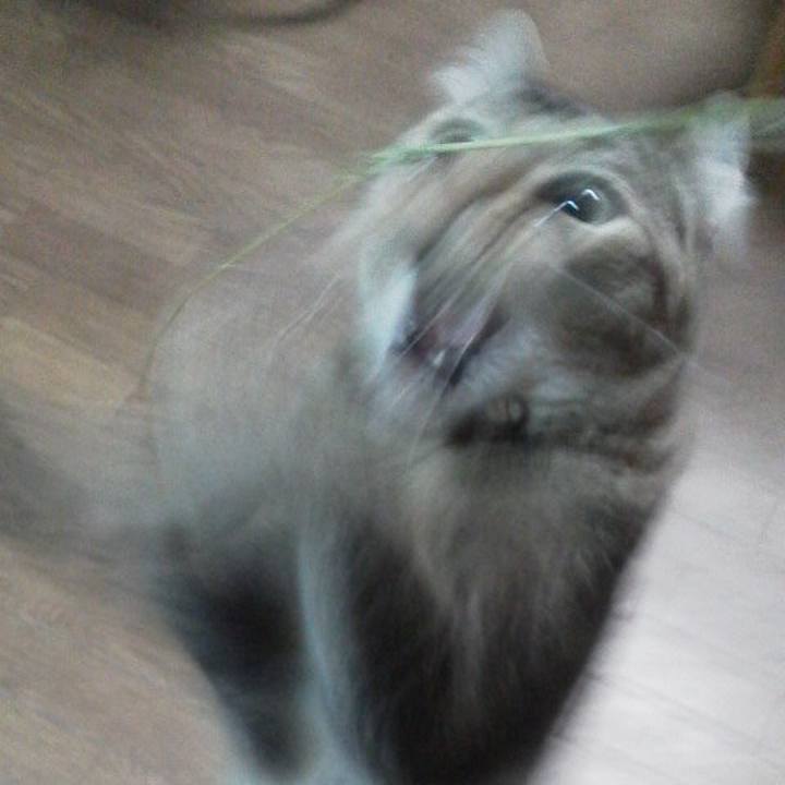 Fc62237c d745 4dbb 99fc a000244023bb