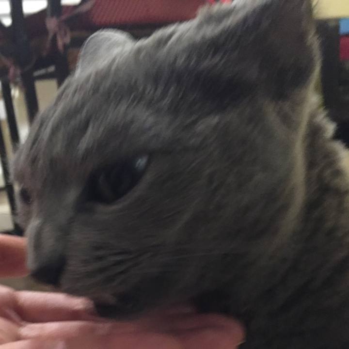 Fc62310f 0e5a 4b0c a36f fdab3b31c1f3