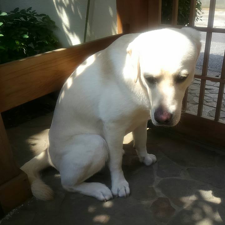 Fc624095 74cc 499e 8ce6 11e74b12e6f1