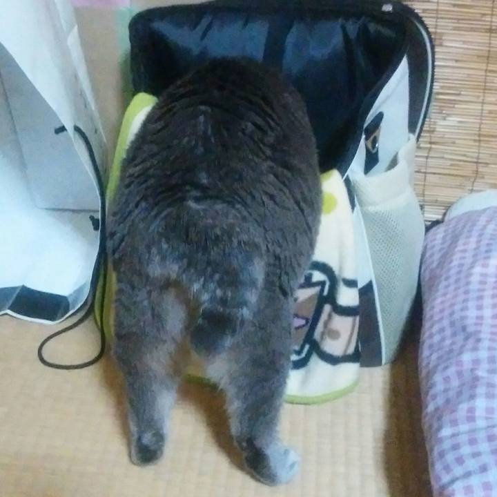 Fc630006 7f01 46b6 8495 609db2f2529c