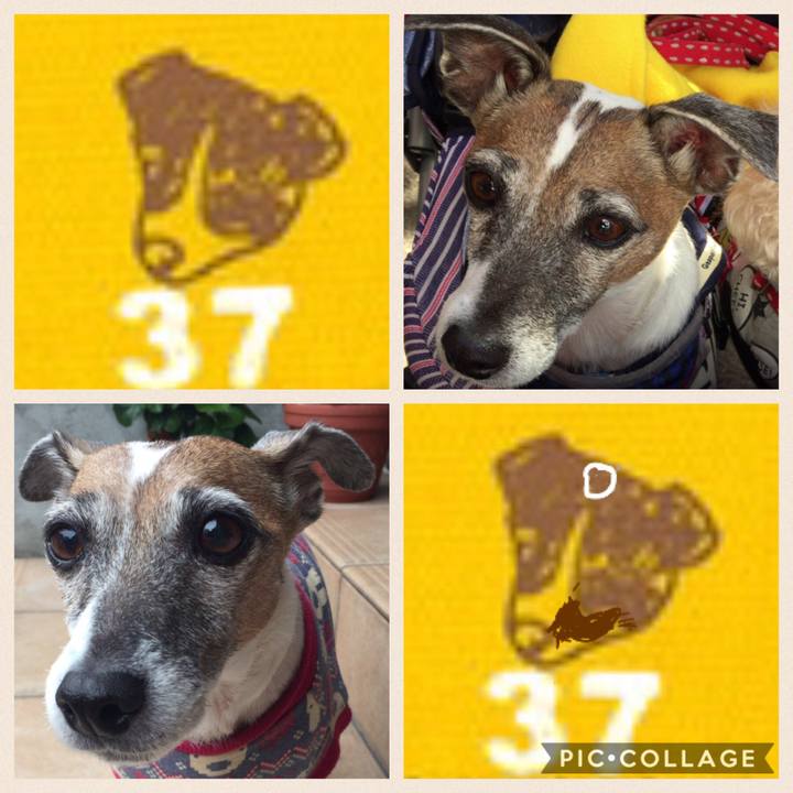 Fc64074b d75f 4a9e 92de aec6d3528549