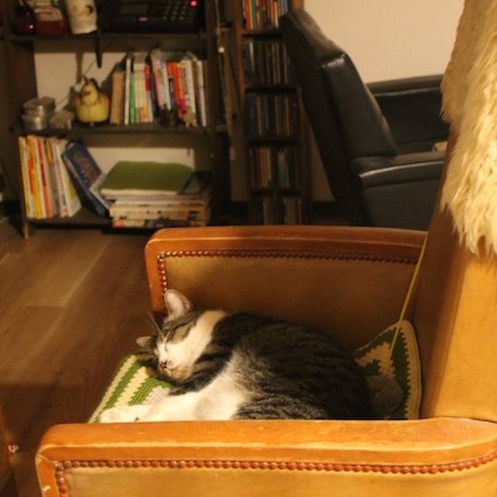 Fc648330 c3e6 469c 94fd 5e9d9dc9cb52