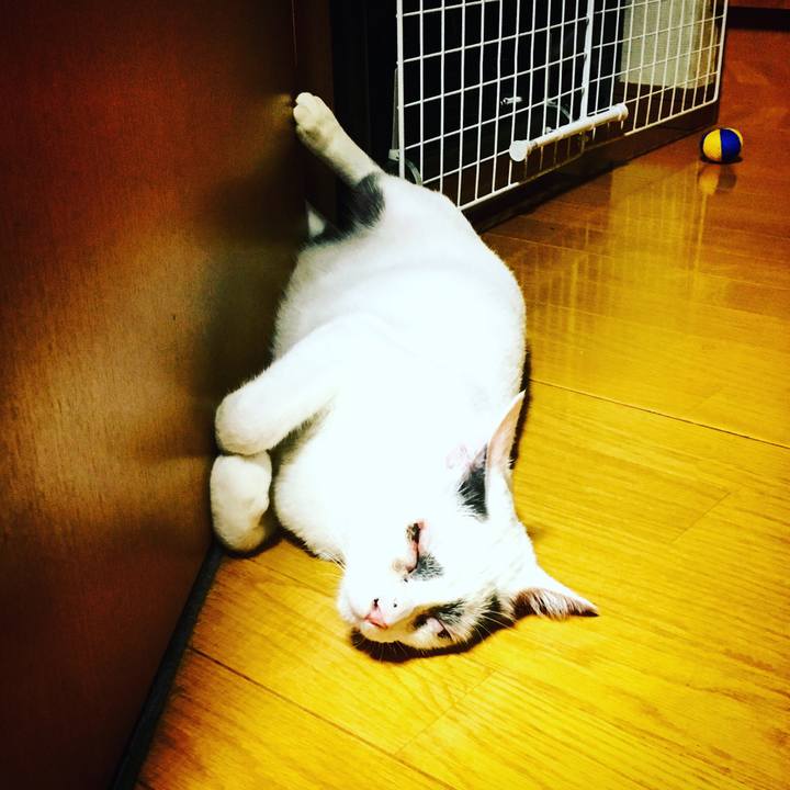 Fc648c70 bc41 4122 8876 a98a556a391d