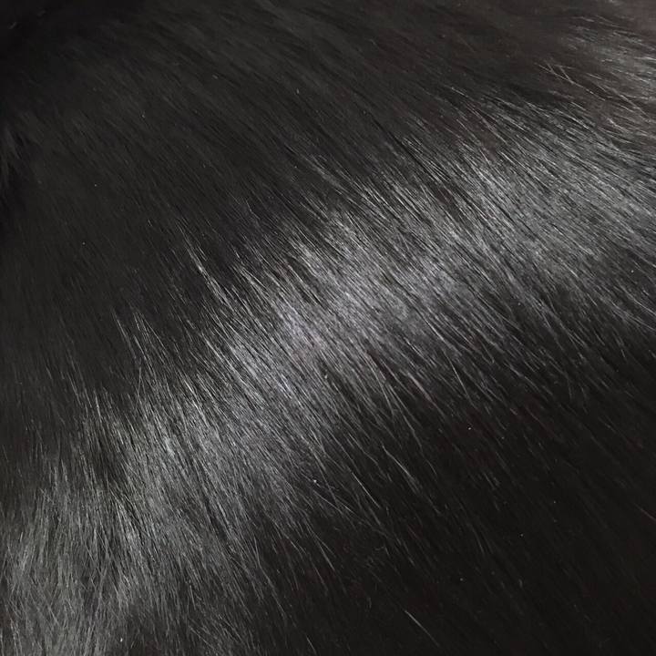 Fc64f7ed 71bb 4315 824e ddf742fbffd9