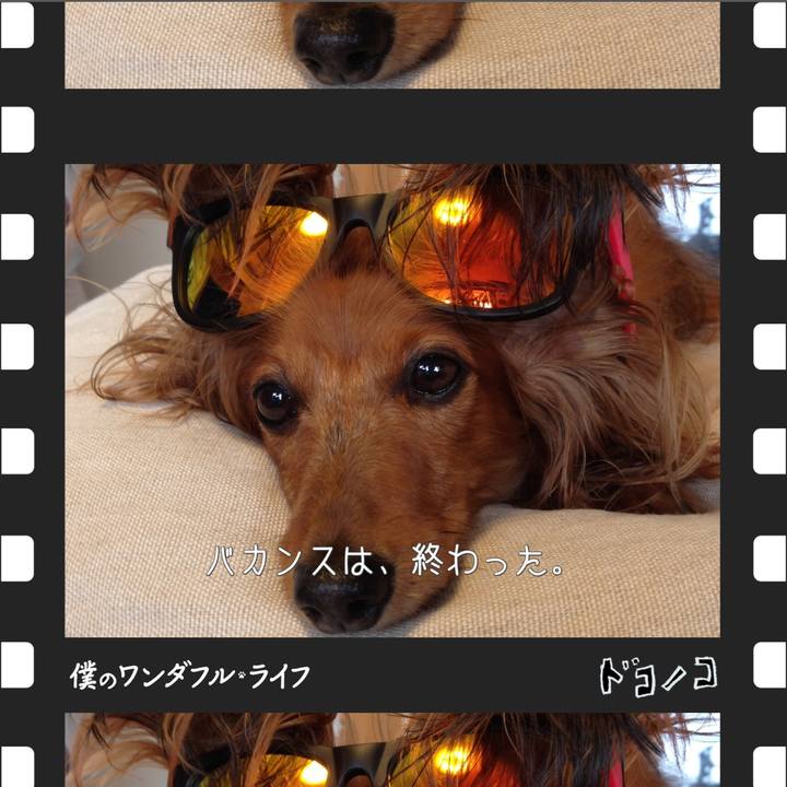 Fc655565 44e5 4e30 8835 d1ae3372fcbf