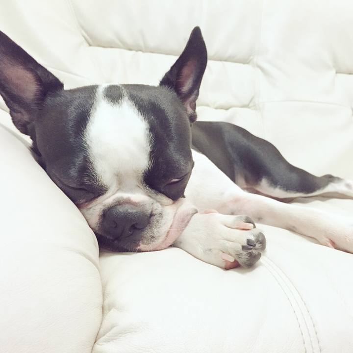 Fc65fd67 c608 4c74 b5f3 180ff7fa3f68