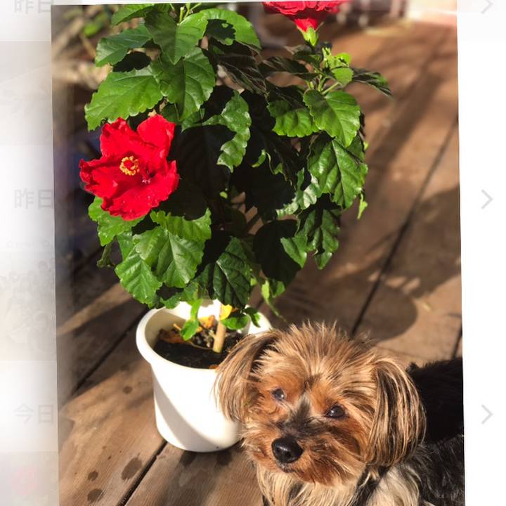 Fc66667c ded1 4020 9152 1a3ff7b84be7