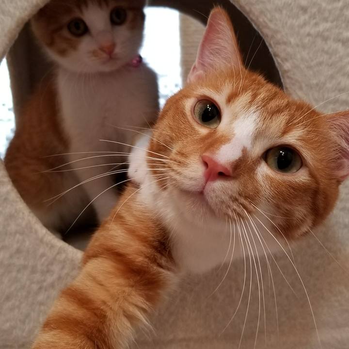 Fc66f1a1 a59a 4c6e 88bc 355b4b75ebfc