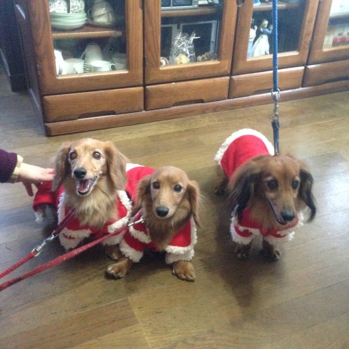 Fc66f2c9 c136 4927 a40b e49aad2bc83c