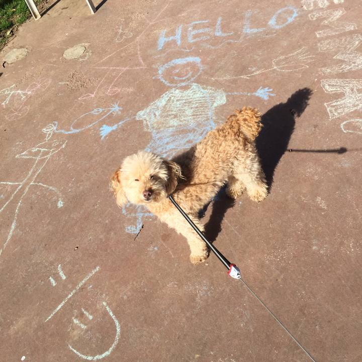 Fc677b9e 9ccc 4409 a5d8 c33ddc335c4f