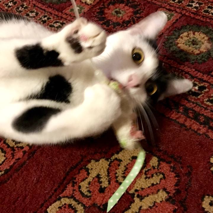 Fc678424 6de5 4ab2 8996 ac30445c3aa0