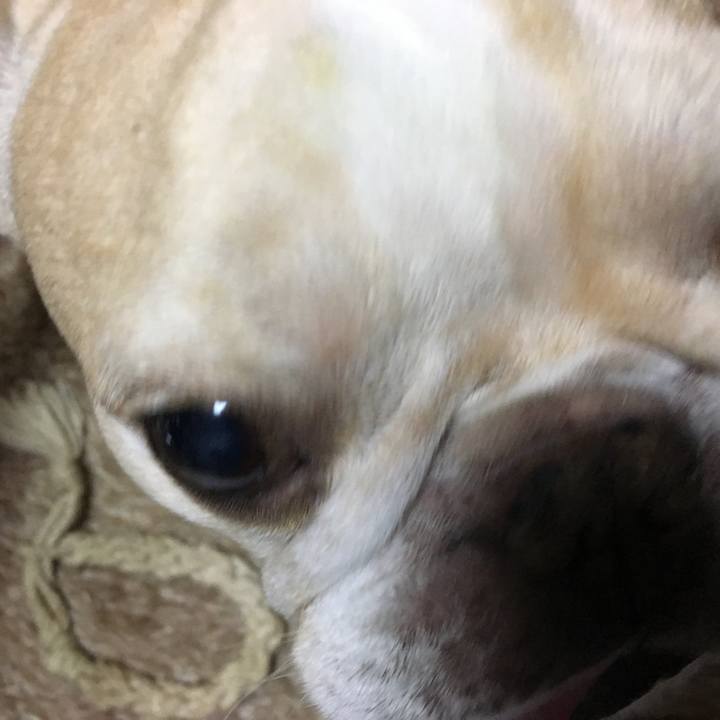 Fc678ad4 e7e2 42f2 81b9 5b857eed51ff