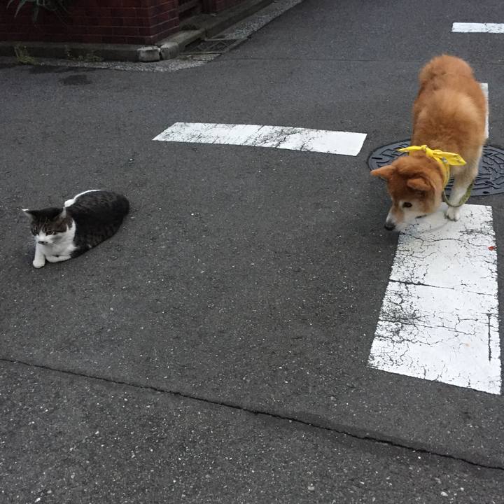 Fc67a488 c972 411a b80a 92c91435f1cb