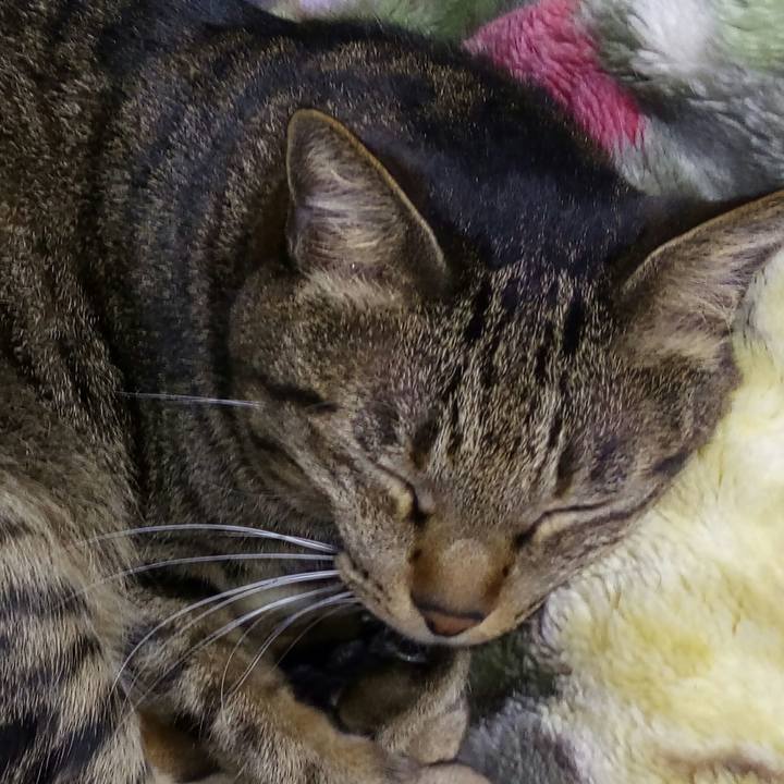 Fc67d104 fd7e 46c9 8b8c 9d7bd800b988