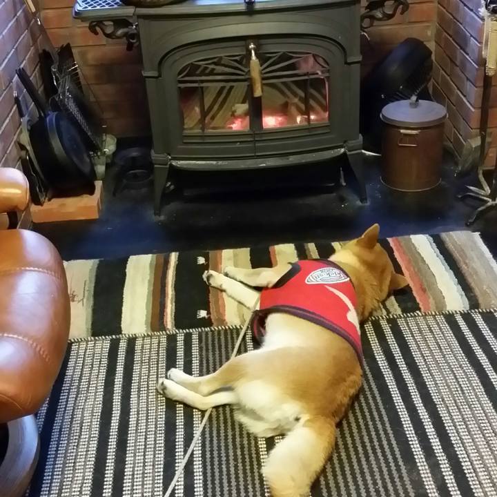 Fc681abc 281d 4243 845b c210e27972f6