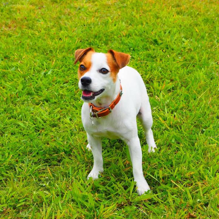 Fc68a193 bcdc 4724 bc54 dc5f5d00d923