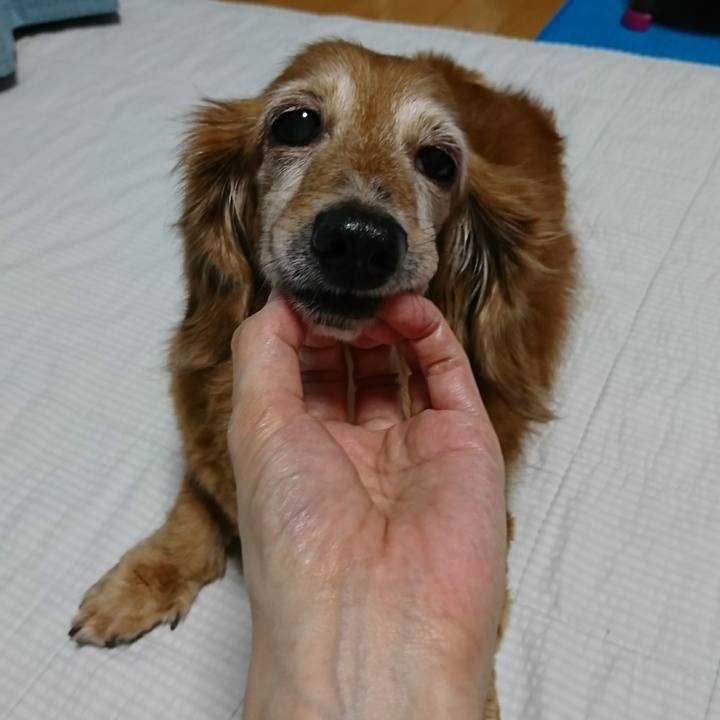 Fc68b7d9 66fc 4ce0 949b 0d29fdb91e2a