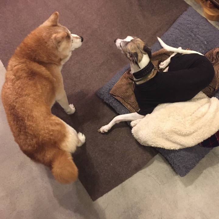 Fc68f5a0 a72c 4155 9546 396023591f89