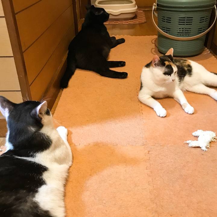 Fc6906e2 e01f 4776 b902 0676368a2a3c