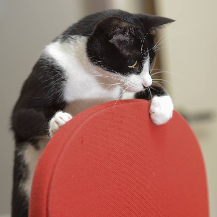 Fc696476 5ec1 4581 a055 2d0d3152356d