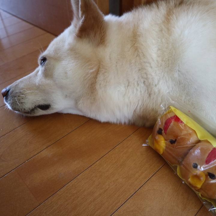 Fc6a8a5b 386e 4696 b4e0 ba2e51a718ce