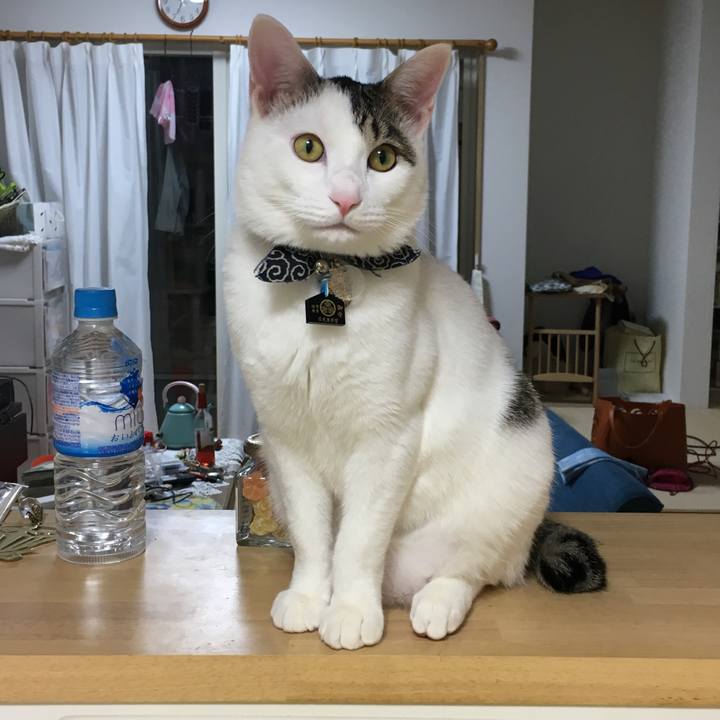 Fc6ad41f 1812 470d b8cd 1ad7a7437fe3