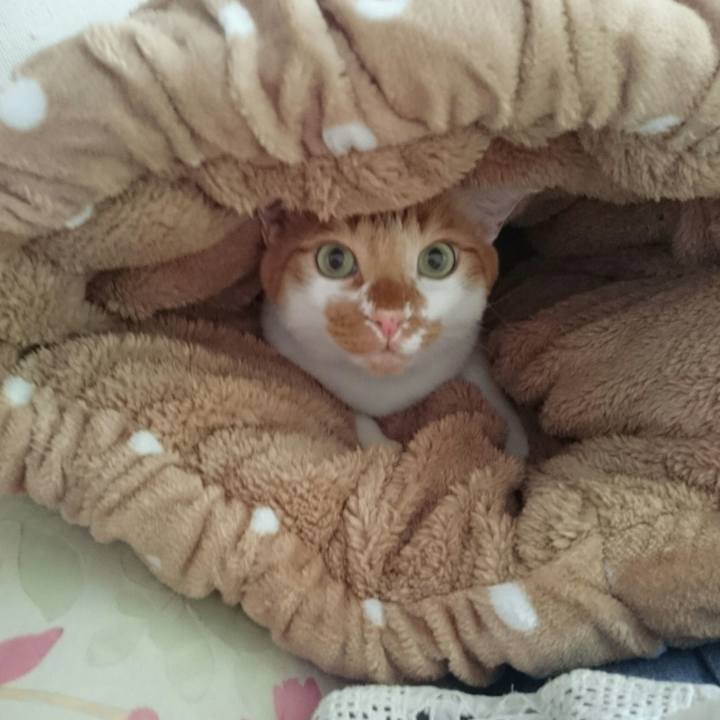 Fc6b0027 268d 4b37 815f f2e2fd13f9d4