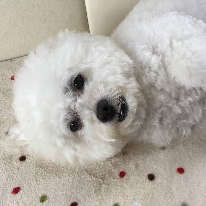 Fc6b1eb7 f655 4eaa bc90 f924120b4a6a