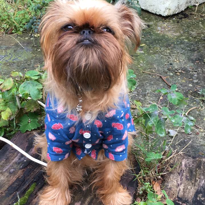 Fc6b950e b537 4689 abca a3072fad6229