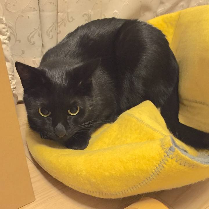 Fc6ba4d7 4bdb 4a32 8300 60b6d519f95b