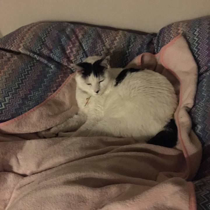 Fc6be045 471b 442e 8aed fad7cb833b90