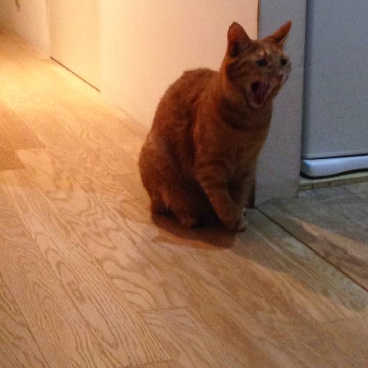 Fc6c7220 c524 4a87 b71b 779b70c986b8