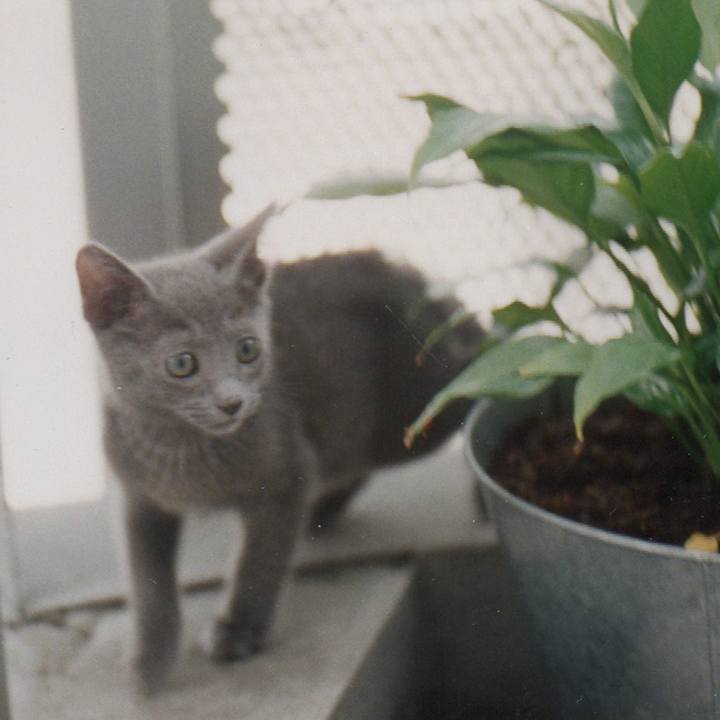 Fc6c7b33 be5c 4a91 9473 731bac842ba7