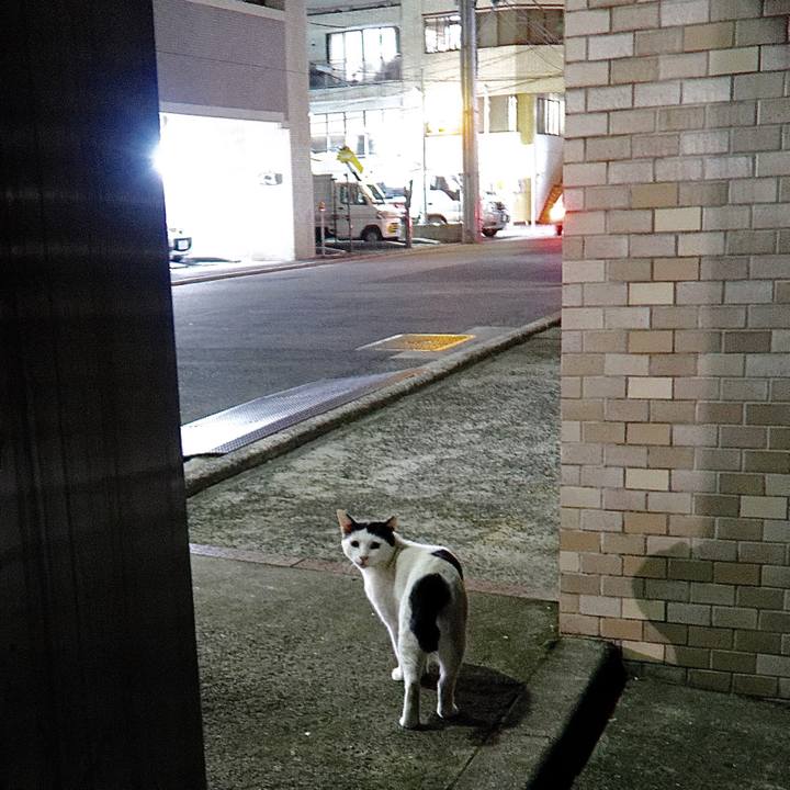 Fc6d12a2 ece1 4941 a0b3 aeb5f1d192a6