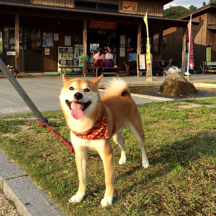 Fc6d36ae c5fd 4e64 9bbf 70a8c645646e