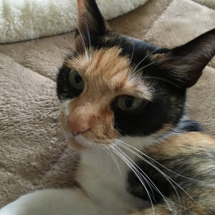 Fc6dea6d 1e7d 4c94 8b47 1f998e71ef1d