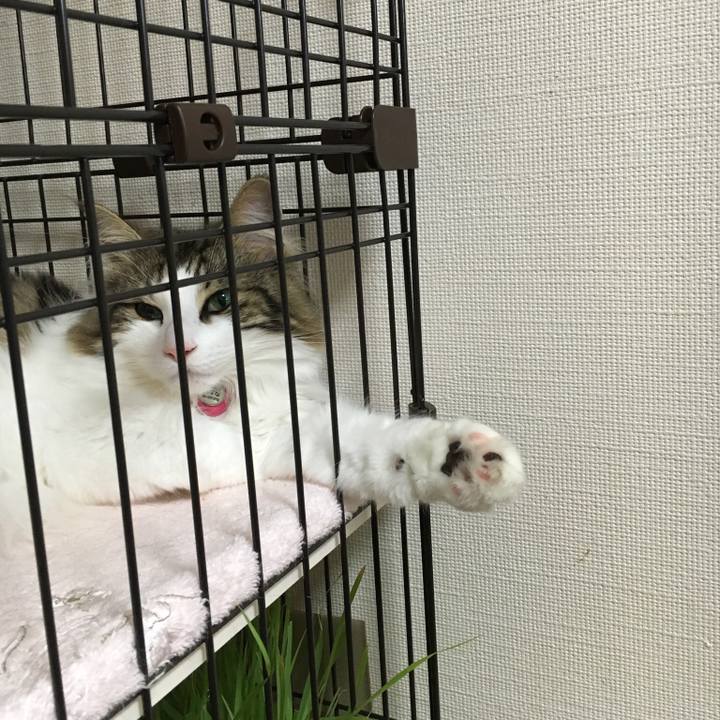 Fc6dfa2a c82b 4562 b829 d01b0903f4ef