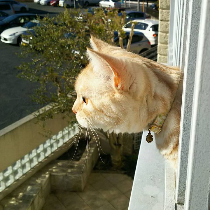 Fc6dfc9f c822 42ae 8bef 5a24d830f7f0