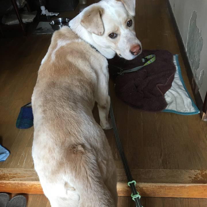 Fc6e331b e8dc 4efb aecc eead3a603ee1