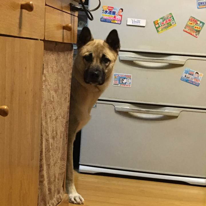 Fc6e3914 4828 4ab6 b4f2 89bf060e0d21